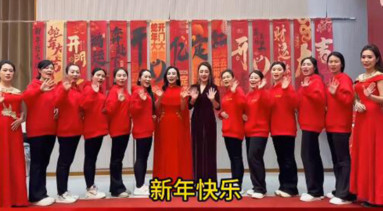 蛇年好運(yùn)至，幸福滿人間！飛斯達(dá)祝您百事從歡，一路向陽(yáng)！